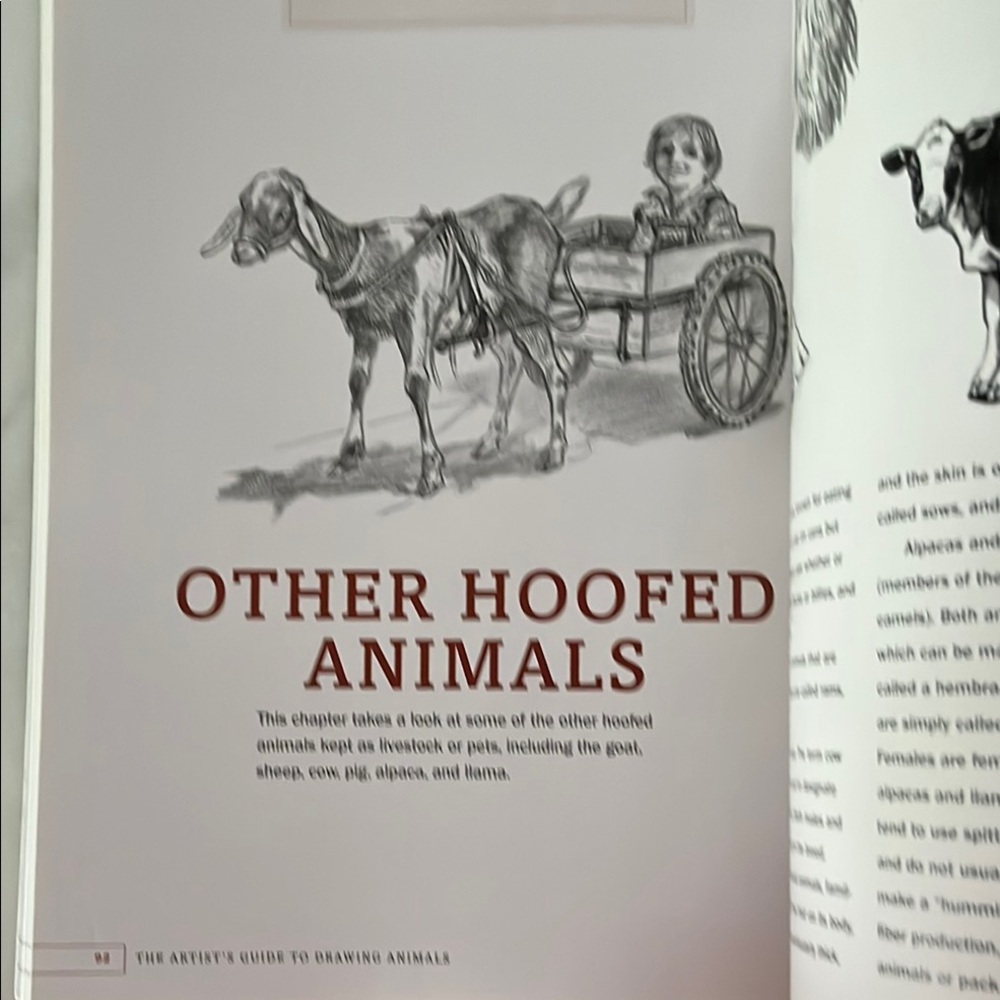 The Artist's Guide to Drawing Animals by J. C. Amberlyn - Picture 13 of 16